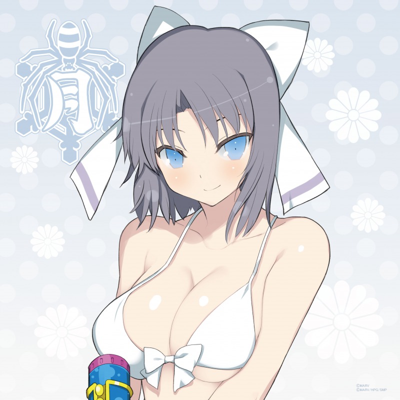 閃乱カグラ Shinovi Master 東京妖魔篇 乳魂クッションカバー 雪泉 D D マーケット