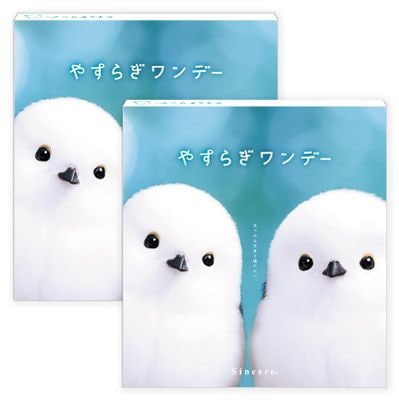 �䤹�餮���ǡ� 2Ȣ���å�(������1Ȣ)