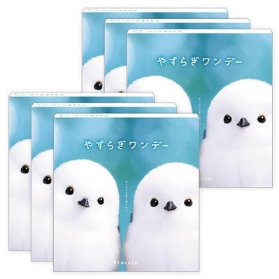 �䤹�餮���ǡ� 6Ȣ���å�(������3Ȣ)
