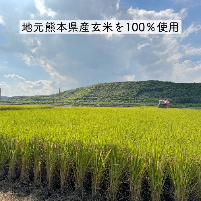 【グルテンフリー】玄米パスタ（フェットチーネ） 10袋セット