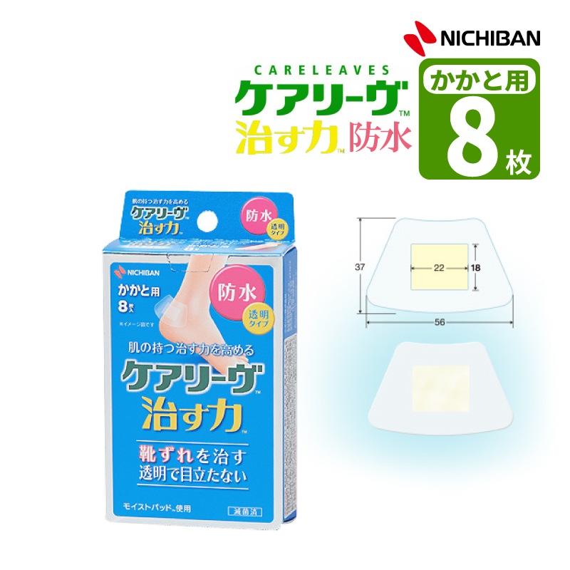 ˥Х ꡼  ɿ奿 𷿥ʤѡ 8 ŵ