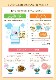ͥ 를꡼ ϥ꡼ å121 12<br>̹⥫꡼꡼ 166g 150kcal 121ĤḤ̂ Х饨ƥ  