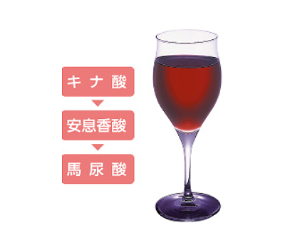 ���å����ޥ� �����٥꡼UR���꡼ 75g��24��<br>�ۥꥫ �����٥꡼UR���꡼��
