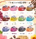 �ͥ��� ���������를�꡼�ϥ������꡼<br>�Х饨�ƥ��ѥå� ������å� 8���1�� ���8������