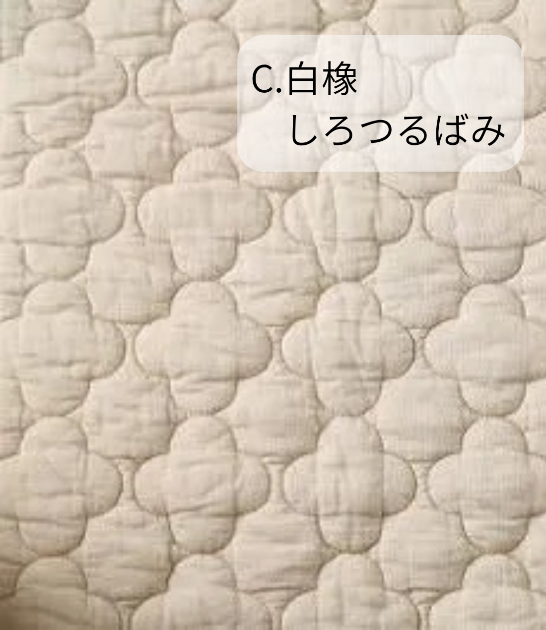 パシーマ パットシーツJカラー | 寝具・日用品,パットシーツ | アイ