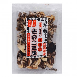 ���㸩�������礭�Τ�����