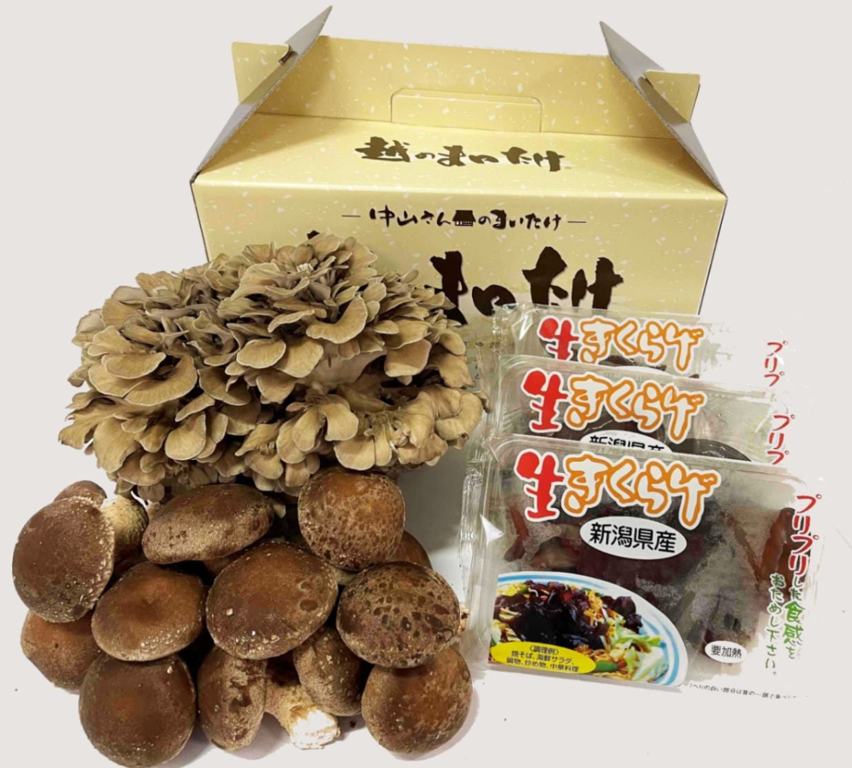値引きしました　日本のきのこ hiratake2.jpg