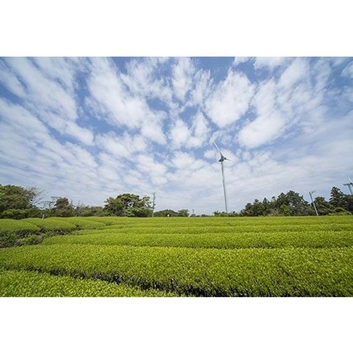 �Ų��� �������㡡���ٻ� 100g