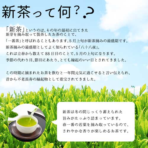 ���� �Ų�����Ƿ���� �������㡡���ٻ� ������̵�� �ޤȤ��3�ܥ��åȡ� ��5���ܰʹߤ�ȯ��ͽ���[M�� 1/4]