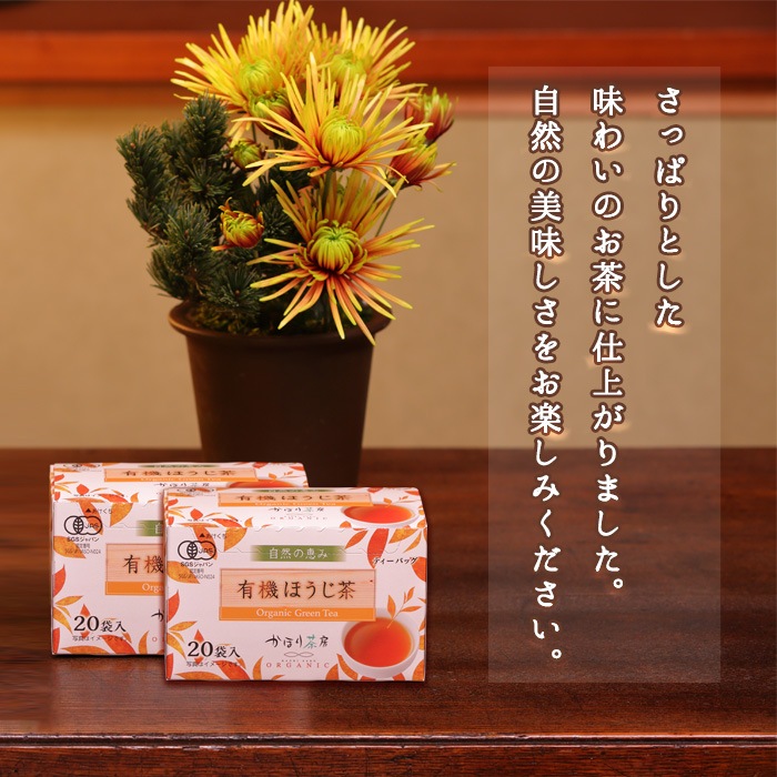 ������̵���ۤ��ۤ���˼ ͭ���ۤ�����ƥ����Хå� 20P ��10Ȣ