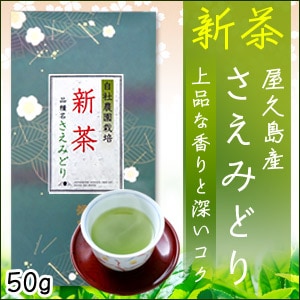 新茶 屋久島産 さえみどり 50g 【4月中旬以降に発送予定】