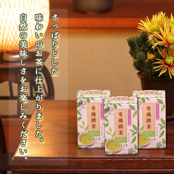 ���ۤ���˼ ͭ������ƥ����Хå� 20�ޡ�2026ǯ3����佪λ��