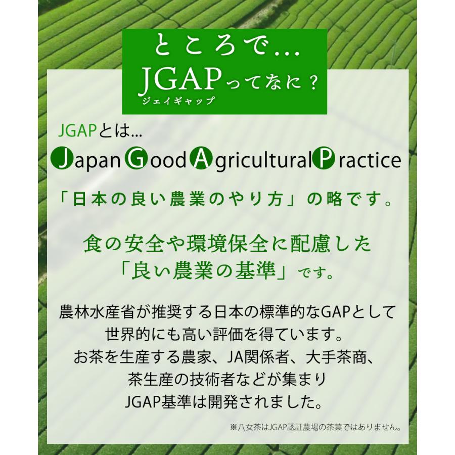 ������̵���������Ը��� ������ 100g��3�� [M�� 1/4]