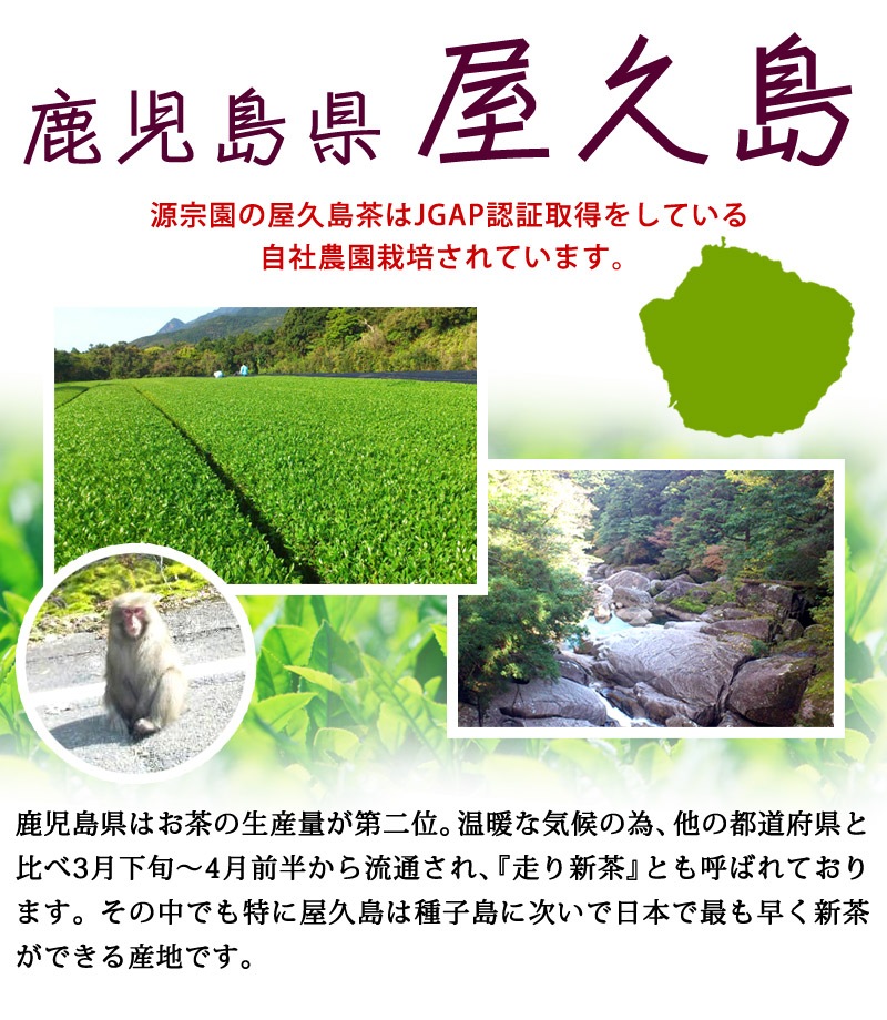 ���� ����������ƥ����Хå�20P ��4��ܰʹߤ�ȯ��ͽ���