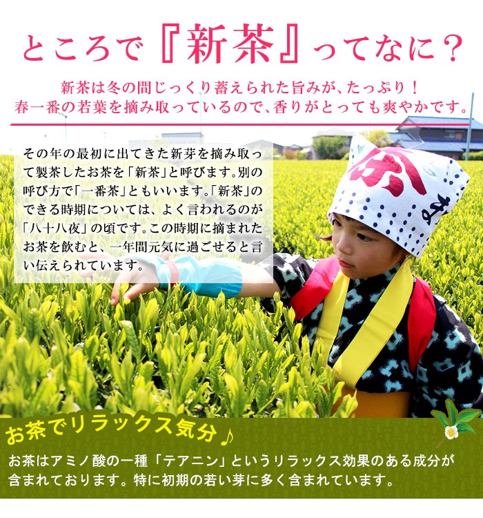 ���� ����������ƥ����Хå�20P ��4��ܰʹߤ�ȯ��ͽ���