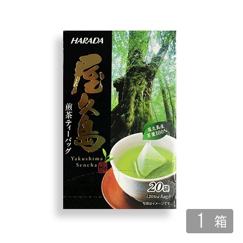 ���� ����������ƥ����Хå�20P ��4��ܰʹߤ�ȯ��ͽ���