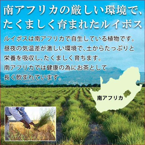 ������̵���ۥϥ������ ���������륤�ܥ��ƥ������ѥƥ����Хå� 52�ޡ�2��