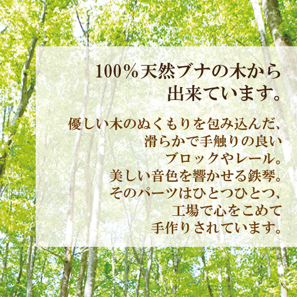 xyloba(サイロバ) オーケストラ 応用セット スイス製の木のおもちゃ・音を組み立てる知育玩具 (ラッピング不可)