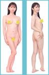 ͽ����2026ǯ10����ȯ���ʡ�YUUKA���������С��ڸ����ǡ�