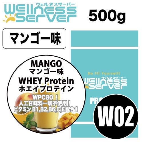 W02WELLNESSSERVERץƥޥ󥴡̣ʹ̣Իѡ500g
