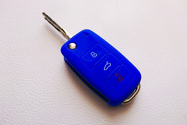 VW ���ꥳ�󥭡����С����֥롼 Type-B