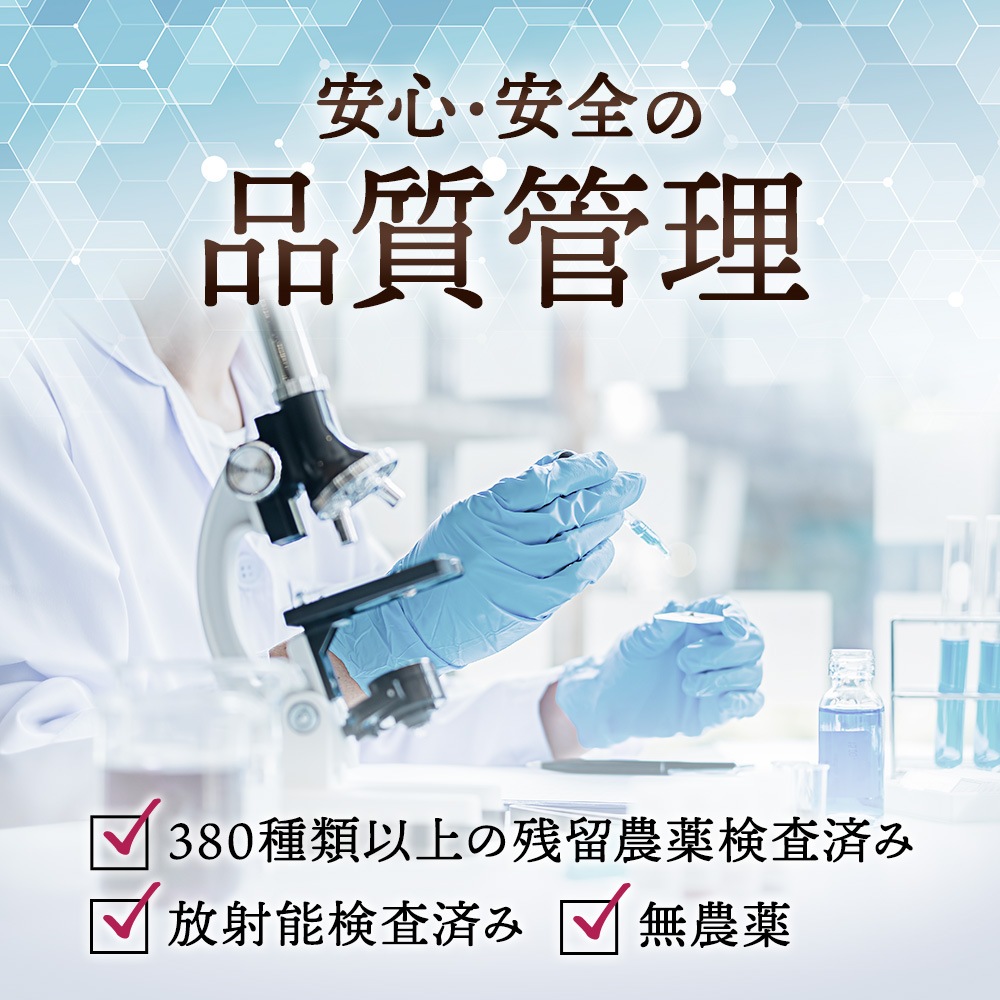 謝朋殿オリジナル「寿朋茶」1kg