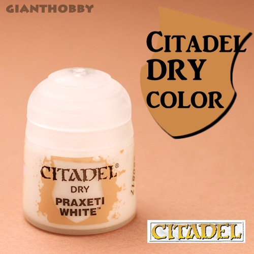 �ڥ����ǥ�/�ɥ饤���顼�� �ץ饼�ƥ����ۥ磻�ȡ�Praxeti White