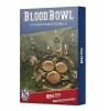 ��BLOOD BOWL�ۥʡ����롦�����ࡦ�ԥå������������� / Nurgle Team Pitch & Dugout