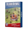 ��BLOOD BOWL�ۥ�����󡦥�˥��󡦥����ࡧ�ԥå������������� / BLOOD BOWL: ELVEN UNION PITCH & DUGOUTS