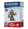 ��BLOOD BOWL�ۥ֥�åɥܥ��롧�Ρ��ࡦ�ĥ꡼�ޥ� / BLOOD BOWL: GNOME TREEMAN