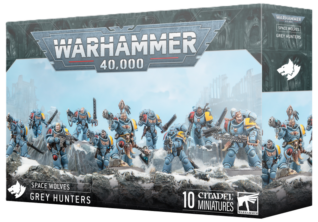 ��WH40k�ۥ��ڡ�������ա����쥤�ϥ󥿡� / SPACE WOLVES: GREY HUNTERS