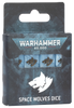 WH40kۥڡա / WARHAMMER 40000: SPACE WOLVES DICE