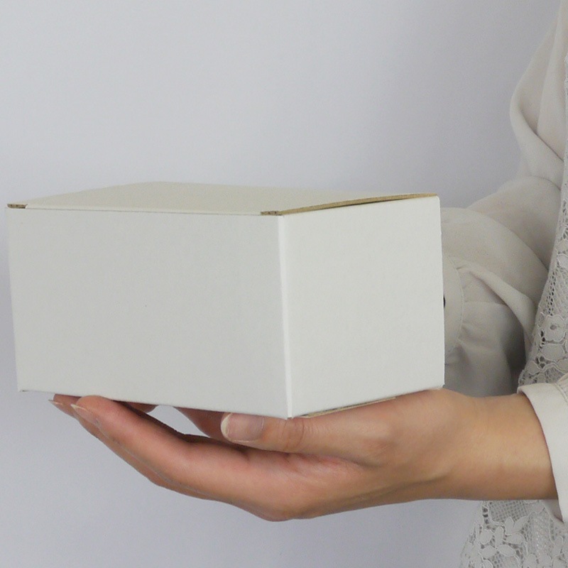 トムソン箱_SS_012