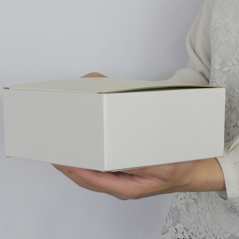 トムソン箱_S_015