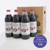   2025 ץ 磻ʥ꡼Υ졼ץ塼