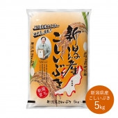 渵 㸩֤5 渵