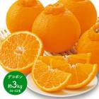 2026ǯ2ܡܤϤ ܸ ǥݥ 3kg (1012) JA̼ܲϢ