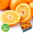 2026ǯ2ܡܤϤ ɲ ͽ 2L 18̵   ( 5kg ) JAҤ