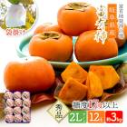 ͽ 2025ǯ12ܡ12ܤϤ   2025 츩 崰 ޳ݤͭ 2L 3kg SFFF2L12