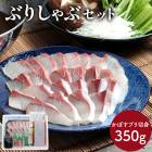 �ۥ磻�ȥǡ� 2026 ��2025/11/20��2026/3/20���Ϥ�����ʬ �� ˭�� 嫲� �� ��ʬ�� ���ܤ� �֥� ����� ���å� SK2709