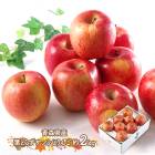 2025/12/1126Ϥ  2025 Ŀ դȤ餺 դ  2kg SN6003-010030