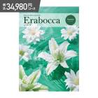 �ޤȤ��㤤�� ������ 2025 ����ܥå� ���������� 34,980�� ���ǹ��� AE012