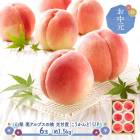 �� ���渵 2026/7/10��7/31���Ϥ��� ���� ���ץ����� ������(���������)�գ� 6�� (��1.5kg) SN6003-010009