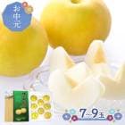 ��� �� ���渵 2026/7/15��8/10���Ϥ��� ����Τ������ CG019 7-9�� ���渵