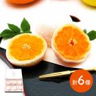 �ޤȤ��㤤�� ������ 2025 �ߤ�����ʡ ��������(���եȥ��å�)