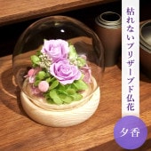 SOUP�����������饹�ɡ��ॢ��󥸥��ȡ��Ϥ�ʤ��ץꥶ���֥ɥե���ͼ��ʤ椦����