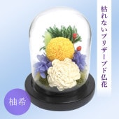   2025 SOUP饹ɡॢ󥸥ȡϤʤץꥶ֥ɥեͮʤ椺