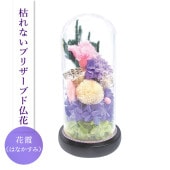 SOUP�����������饹�ɡ��ॢ��󥸥��ȡ��Ϥ�ʤ��ץꥶ���֥ɥե����ֲ�ʤϤʤ����ߡ�