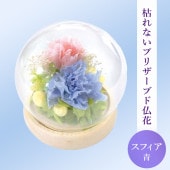 SOUP�����������饹�ɡ��ॢ��󥸥��ȡ��Ϥ�ʤ��ץꥶ���֥ɥե������ե���/��