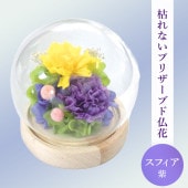 SOUP�����������饹�ɡ��ॢ��󥸥��ȡ��Ϥ�ʤ��ץꥶ���֥ɥե������ե���/��